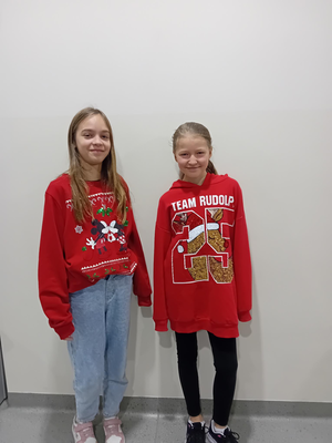 MicrosoftTeams-image_(9)